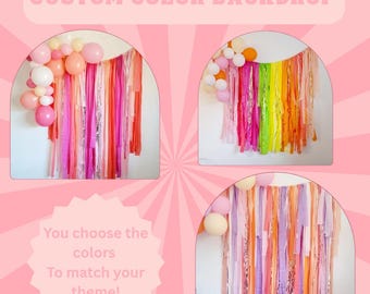 Custom Fringe backdrop,streamer backdrop,custom backdrop,birthday party decoration,photo backdrop,custom decoration,Bachelorette,fringe wall