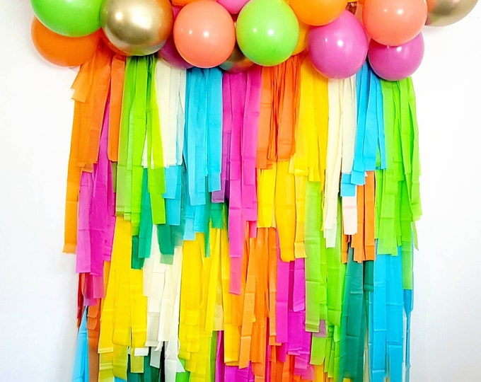 Final fiesta backdrop,Fringe Backdrop,Plastic fringe backdrop,bachelorette party decoration,Party backdrop,Custom backdrop,fiesta,Tropical