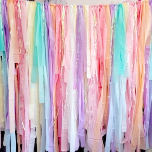 Rainbow Tassel Backdrop,Pastel Streamer Garland,Unicorn Party Decorations,Photo Booth Decor,Fringe Banner,birthday backdrop,custom backdrop