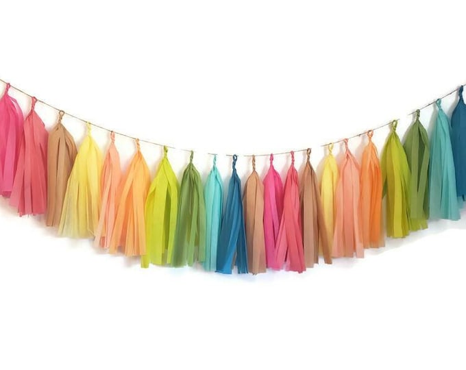 Tissue paper tassel garland,boho tassel garland,tassel garland, rainbow garland,boho rainbow  Garland,llama party,fiesta  Garland,llama,boho