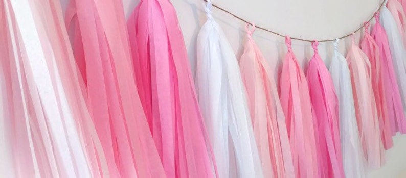 Pink tassel garland,Blush tassel garland,Pink fringe,Baby shower garland,Birthday garland,nursery garland,Baby girl,Girl party,Pink Party