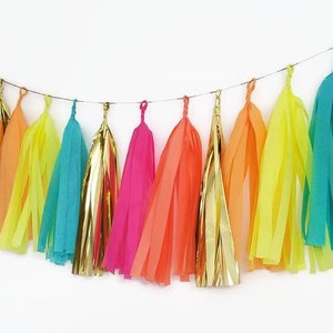 Tissue paper tassel garland,tassel garland,tassel fringe,custom garland,neon garland,glow party,fiesta,birthday decoration,birthday garland image 2