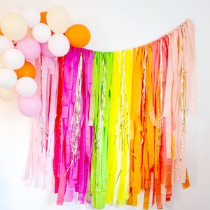 Rainbow Streamer Backdrop,Colorful Tassel Garland, Fringe Curtain Photo Booth Decor, Rainbow Birthday Party Decorations,custom backdrop