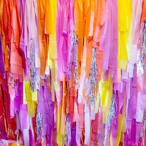 Rainbow backdrop,Fringe Backdrop,streamer backdrop,bachelorette  decoration,birthday backdrop,Custom backdrop,fringe wall,photo wall,party