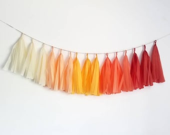 Guirnalda de la tanda del arco iris, guirnalda del arco iris boho, guirnalda del arco iris, fiesta del arco iris, fiesta del arco iris, decoraciones del partido boho, arco iris boho