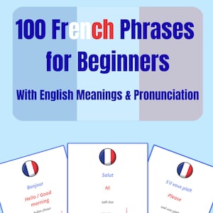 100 French Phrase Flashcards for Beginners – Learn French with English Translations & Pronunciations – Printable Language Learning Cards