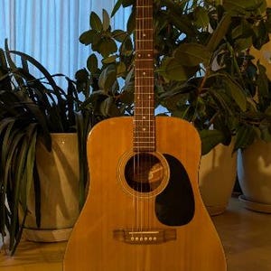 Puede incluir: Guitarra acústica con acabado de madera natural. La guitarra tiene un golpeador negro, una boca redonda y seis cuerdas. El clavijero es marrón oscuro. La guitarra está sujeta por una mano.