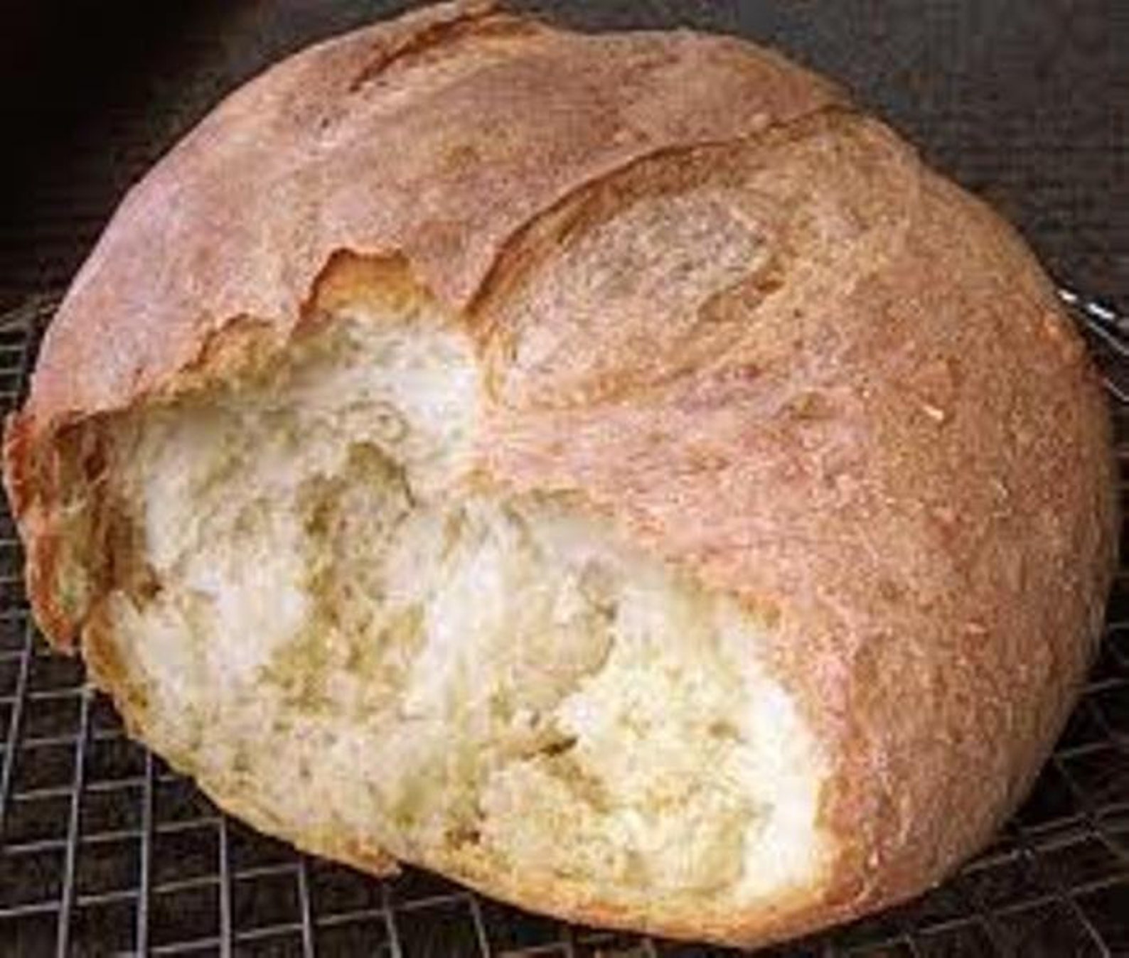 Authentic San Francisco Sourdough Starter Instructions Etsy