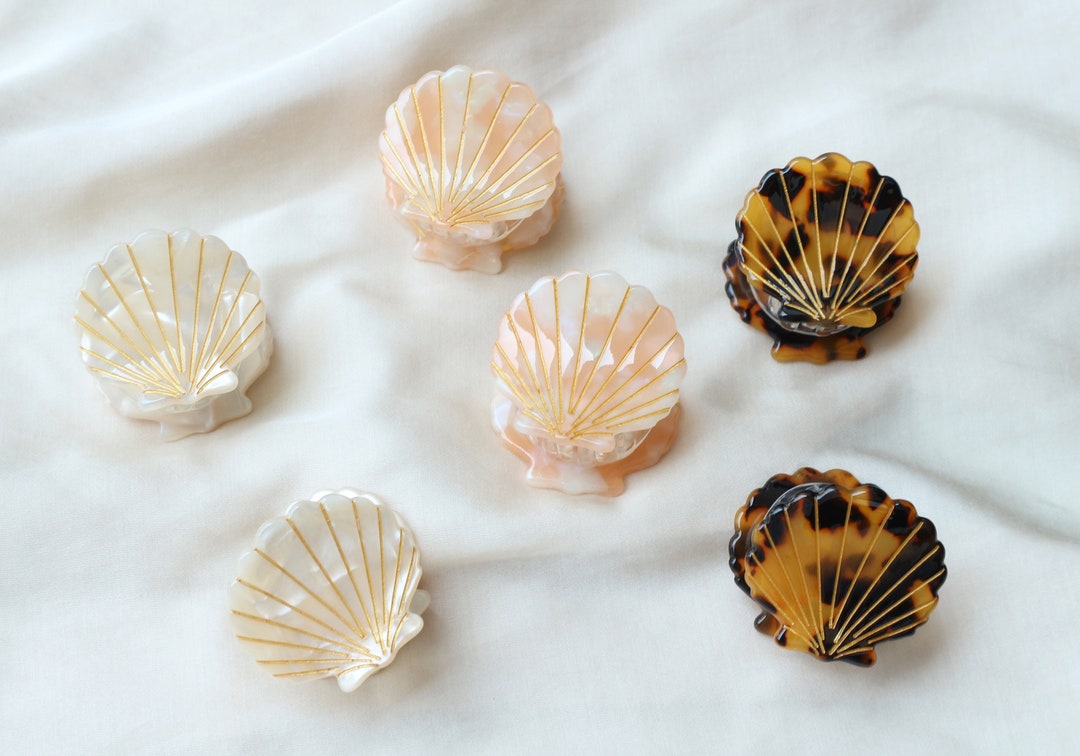 Clams Shell Hair Clips Seaside Shell Hair Clip Sea Shell Etsy