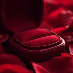 May include: An open, red velvet ring box with a plush interior, set against a backdrop of scattered red rose petals. The box is leather-bound, and the interior is designed to hold a ring. The overall theme is romance and jewelry.