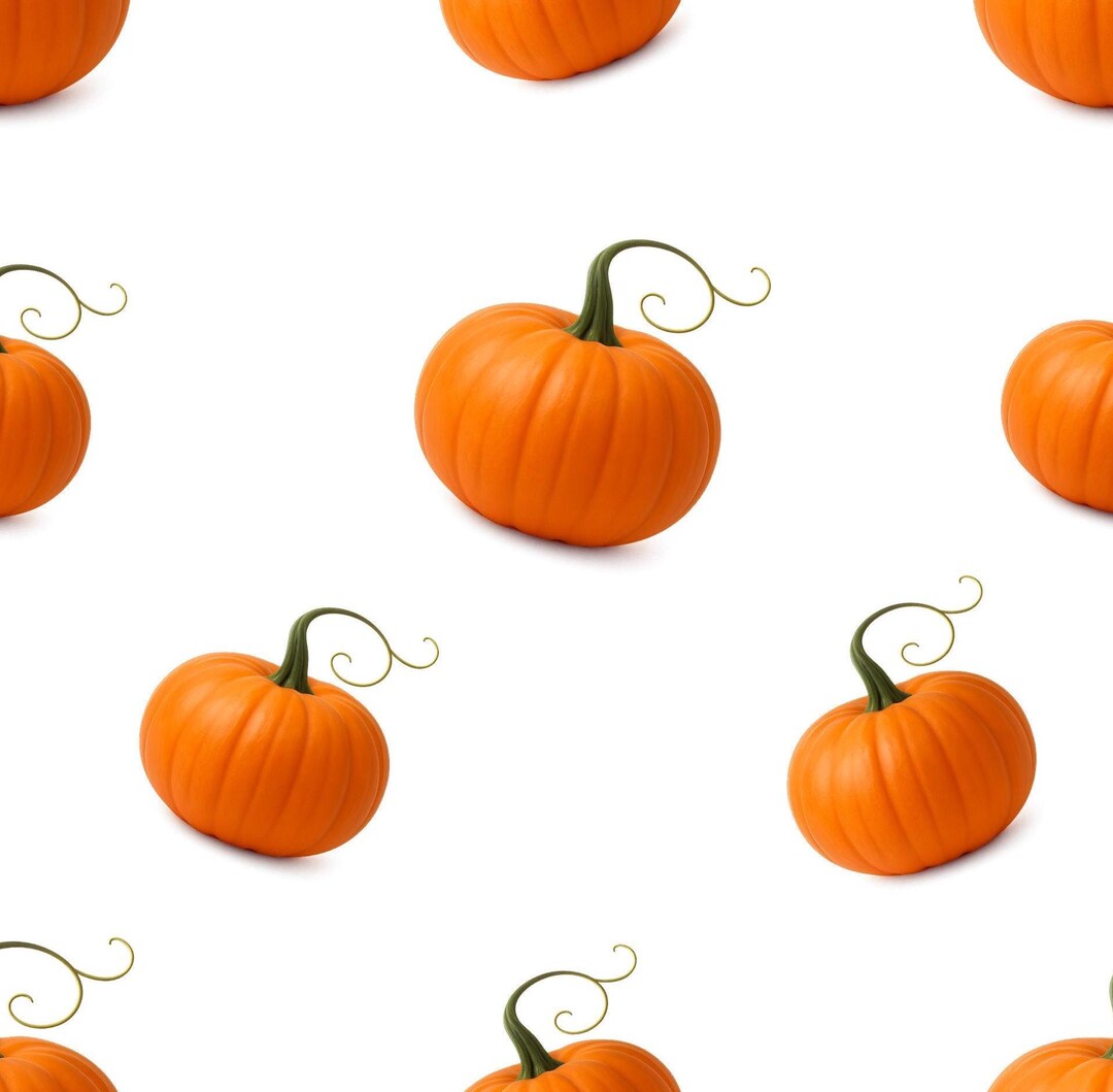 Pumpkin Patch Seamless Pattern | Digital Download | PNG File - Etsy ...