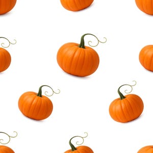 May include: Seamless pattern of orange pumpkins with green stems and curly tendrils on a white background. The pumpkins are round and have a ribbed texture, perfect for fall and autumn-themed designs.