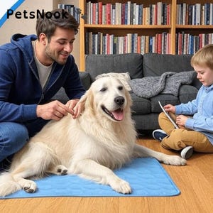 Peut inclure: Un chien Golden Retriever est allongé sur un tapis rafraîchissant bleu clair. Un homme et un enfant sont à proximité. Le chien a l'air heureux. Le tapis est sur un sol en bois. Le logo "PetsNook" est en haut à gauche.