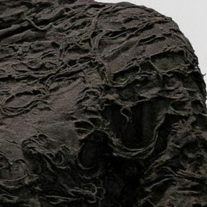 May include: A dark brown long-sleeved top featuring a high neckline and a highly textured, raised surface pattern that creates a complex, organic, and layered appearance across the entire fabric of the garment.