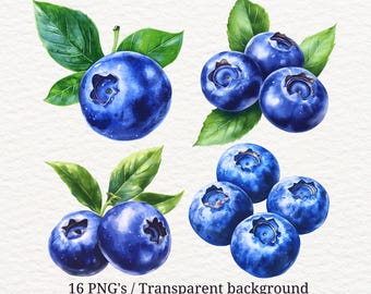 16 PNG Blueberry Watercolor Fruit Clipart with Leaves for Sublimation Crafts (Digital Download)