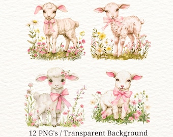 12 Transparent PNG, Lamb PNG Bundle, Cute Baby Sheep Watercolor Clipart, Easter Spring Sublimation Design, Kids Printable, T Shirt Print