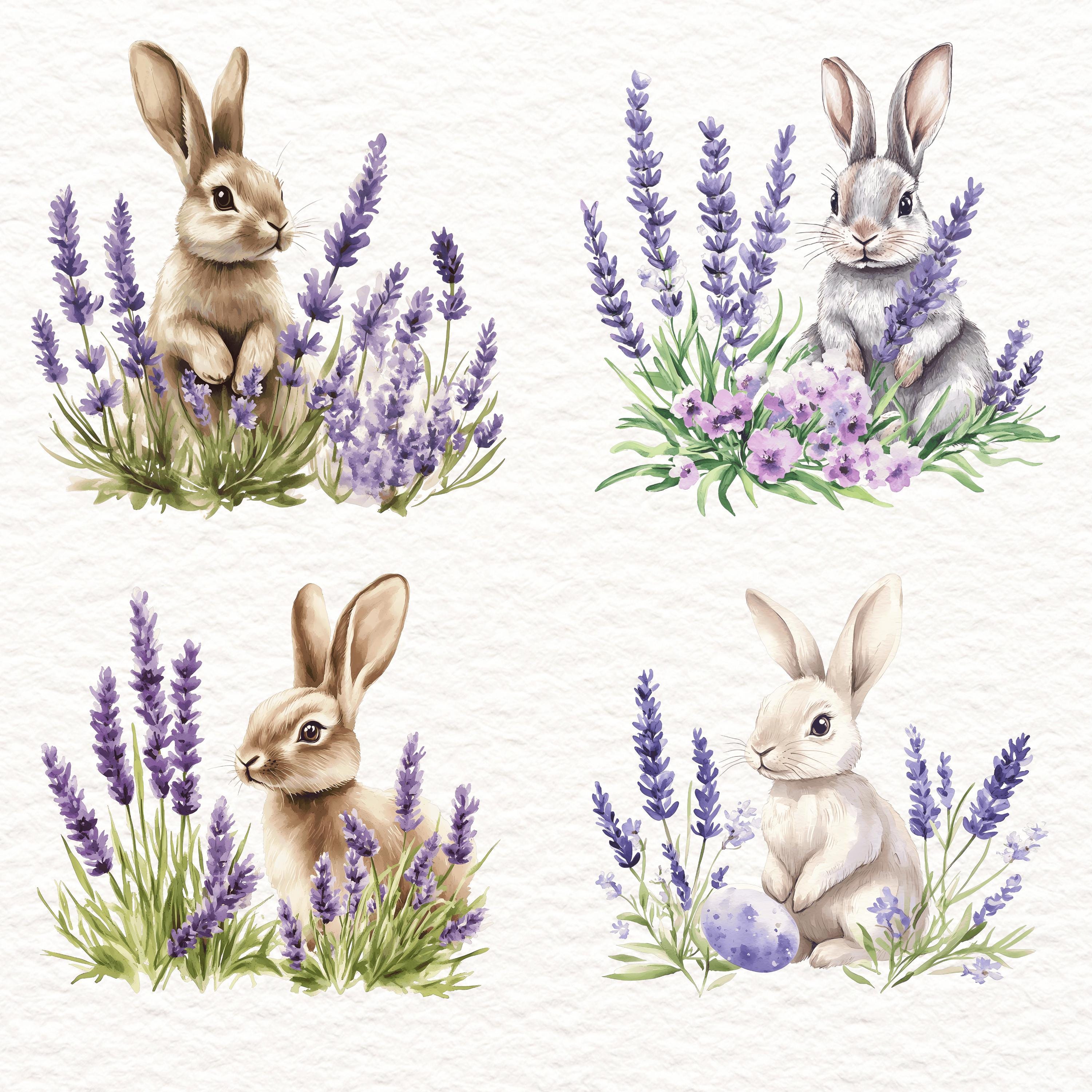 25 Bunny PNG Watercolor Clipart Lavender Rabbits Spring Flowers Easter ...