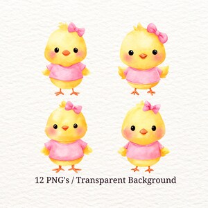 Cute Chick PNG Bundle, Baby Chick with Bow Clipart, Easter Chick PNG, 12 Transparent PNG, Pastel Sublimation Design, Sticker, Printable