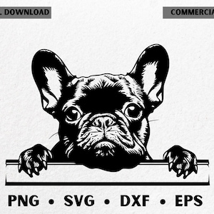 Peeking french bulldog svg / French bulldog svg cricut / French bulldog peeking svg / Dog breed svg files / Frenchie silhouette svg