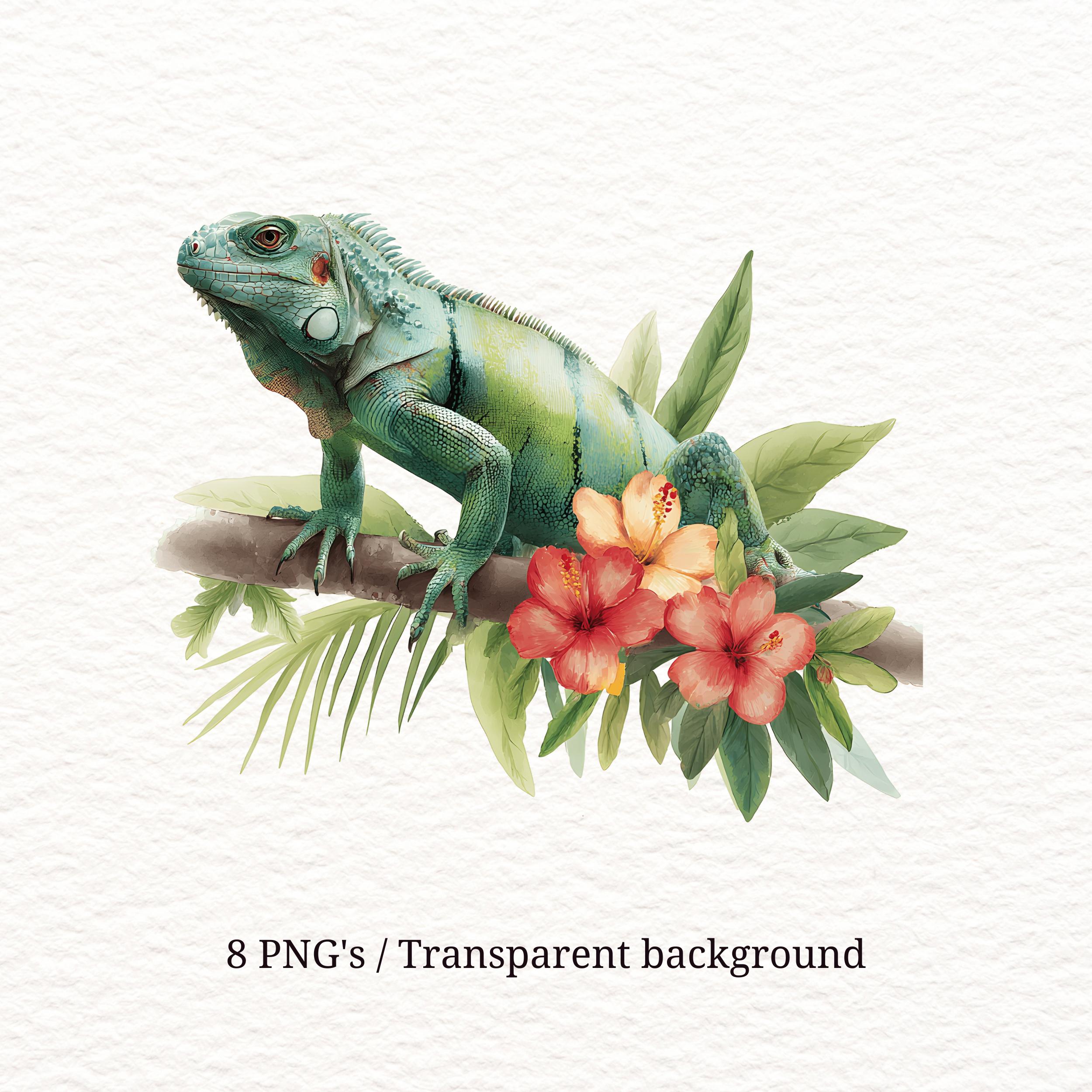 Iguana - Etsy 日本