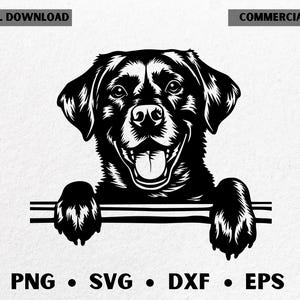 Peeking labrador svg / Labrador retriever svg / Hand drawn dogs svg / Dog breed svg files / Labrador retriever for cnc / Commercial use