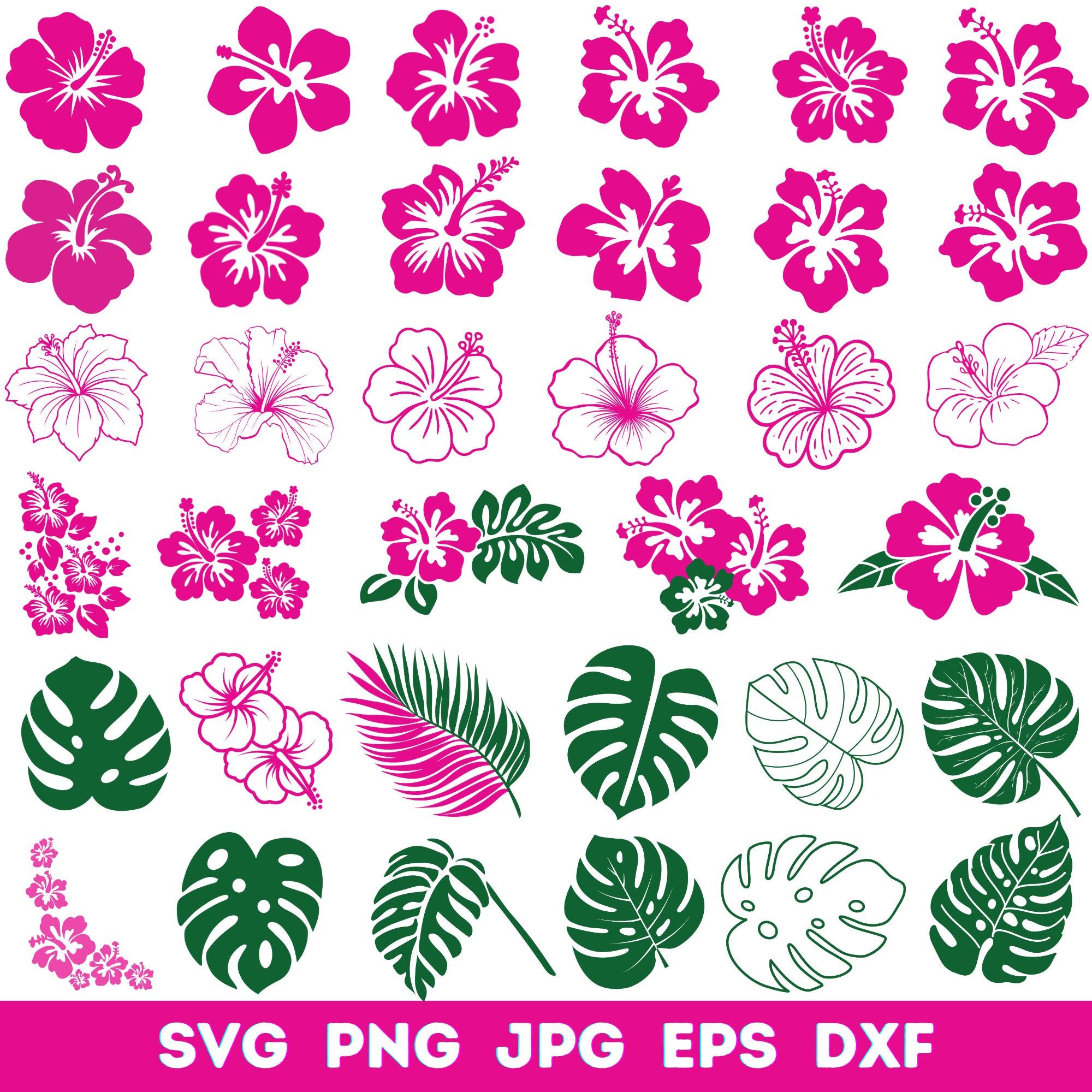 Hibiscus Flowers Svg Bundle, Hibiscus Svg Png, Tropical Floral Clipart ...
