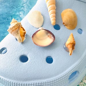 Real Seashell Shoe Charms, Beach Shoe Charms, Coastal Shoe Accessory, Slide on Shoe Charms, Shell Jewlery, Birthday Gift, Beach Gift, Summer