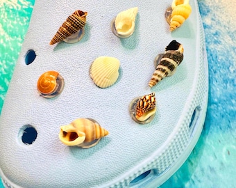 Real Seashell Shoe Charms, Beach Bag Charms, Ocean Slide on Shoe Charms, Coastal Jewelry, (Set of 8)