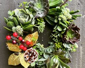 Live Succulent Holiday Wreath with Pinecone and berries for Fall or Winter