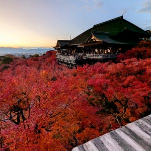 May include: A scenic view of a traditional Japanese temple with a dark green roof, set against a backdrop of vibrant red autumn foliage. The temple is perched on a hillside, overlooking a city at dusk.
