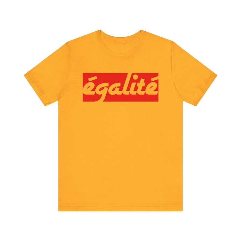 Camiseta de igualdad, camiseta con refranes franceses, regalos franceses, camiseta francesa, camiseta con cita francesa, regalo para amantes franceses, camiseta de Francia, en francés imagen 2