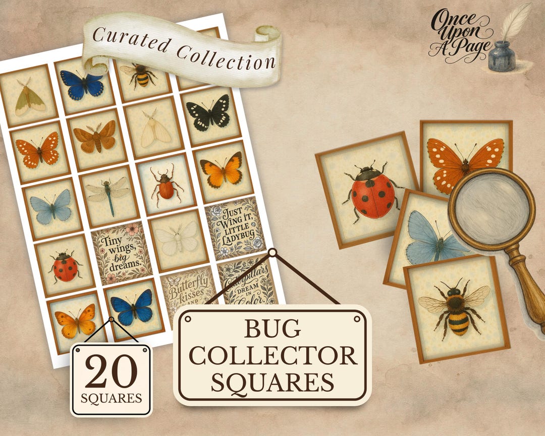 Bug Collector Squares Curated Collection, Insect Specimen Ephemera ...