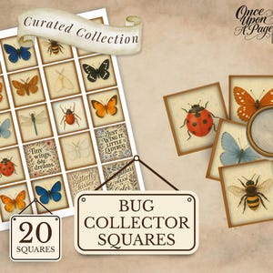 May include: A collection of vintage-style bug-themed squares, featuring butterflies, bees, and ladybugs. The set includes 20 squares, with text that reads "Bug Collector Squares" and "Curated Collection". A magnifying glass and inkwell are also present.