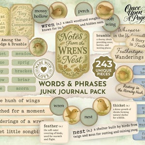 Puede incluir: Un paquete de diario basura con el tema de aves y naturaleza. El diseño incluye etiquetas con frases como "Notas del nido del reyezuelo" y "243 piezas únicas". La paleta de colores es suave, con tonos beige, verde y marrón.