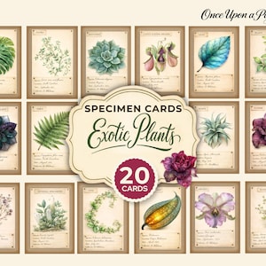 May include: A collection of 20 vintage-style specimen cards featuring watercolor illustrations of exotic plants. Each card showcases a different plant with its name and origin details, set against a beige background with a brown border. The cards are labeled "Specimen Cards Exotic Plants".