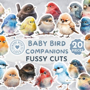 Puede incluir: Un conjunto de 20 recortes de acuarela de pájaros bebés en varios colores, incluyendo azul, amarillo, naranja y marrón. Las aves están posadas en ramas y hojas. El texto dice "Baby Bird Companions Fussy Cuts" y "Made with Love".