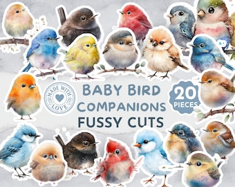 Adornos de pájaros bebés, efímeros de aves en acuarela, imágenes prediseñadas de pollitos lindos, álbumes de recortes de bosque, suministros para diarios creativos, pájaros imprimibles