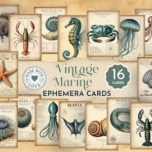 May include: A collection of 16 vintage marine ephemera cards. The cards feature illustrations of various sea creatures, including a seahorse, crab, and octopus, in shades of blue, green, and brown. The cards have a distressed, aged appearance with the text "Vintage Marine Ephemera Cards".