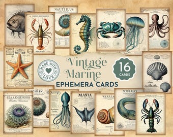 Tarjetas vintage de criaturas marinas, tarjetas efímeras marinas, imprimibles para diarios basura, páginas de álbumes de recortes con temática oceánica, collage náutico