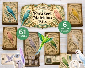 Kit imprimible de colección de cajas de cerillas de periquitos, pequeñas cajas en miniatura para observadores de aves, efímeros para diarios creativos, manualidades con papel.