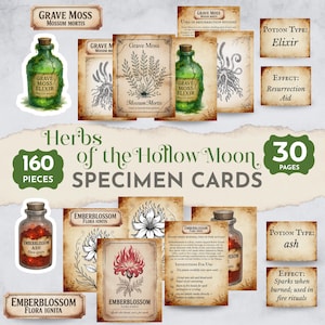 May include: A collection of 160 specimen cards, 30 pages, featuring illustrations of herbs and potions. Includes cards labeled "Grave Moss" and "Emberblossom," with potion types and effects. The set has a vintage, fantasy theme.