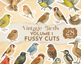 Diario vintage con recortes de pájaros, efímeras de aves imprimibles para diarios, scrapbooking, manualidades de la naturaleza, hojas de collage, diario imprimible