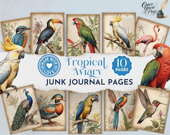 Pagine di diario con voliera tropicale, carte digitali con uccelli esotici, sfondi per album di pappagalli, tucani e ara, kit stampabile sulla natura JJ088