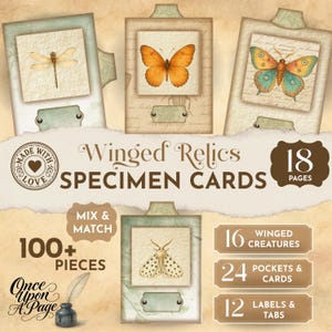 Może przedstawiać: Zestaw kart okazów Winged Relics z ilustracjami owadów i motyli. Zestaw zawiera ponad 100 elementów, 18 stron, 16 skrzydlatych stworzeń, 24 kieszenie i karty oraz 12 etykiet i zakładek. Karty w stylu vintage.