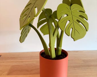 Monstera Plant Coaster Set