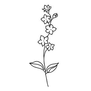 Vergeet me niet fijne lijntekeningen bloemenontwerp, minimalistische bloemenillustratie voor tatoeage of print, kleine tattoo geboortemaand september bloem