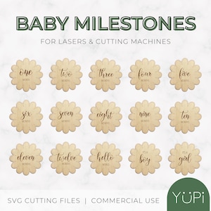 SVG Digital File Baby Milestone - Flower | Monthly Milestone SVG | Baby Milestone SVG | Baby Milestones | Laser Cut | Cricut | Beginners