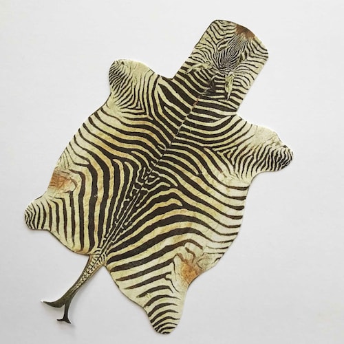 Miniature Faux Zebra Hide Velvet Paper Rug for Dollhouse in Etsy