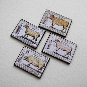 ミニチュア 1:12 スケール フランス精肉店キッチン サイン Le Boeuf Le Porc Le Mouton Le Veau