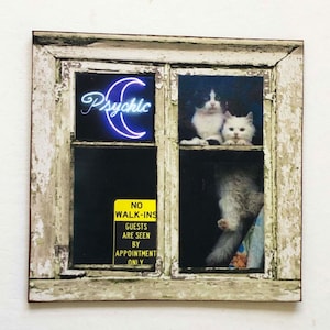 Miniature PAPER Window for Neighborhood Psychic Cat Lady